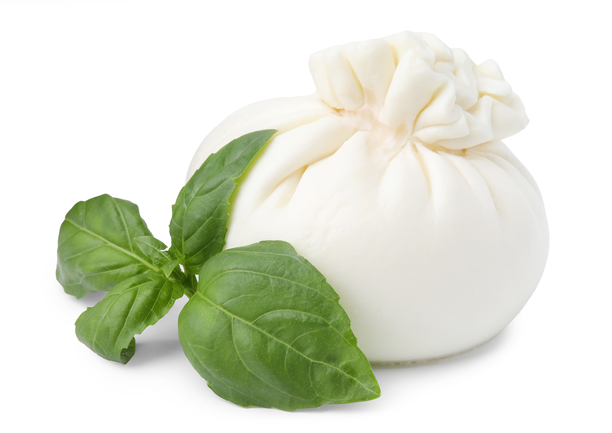 Creamy burrata